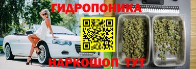 шишки Ливны