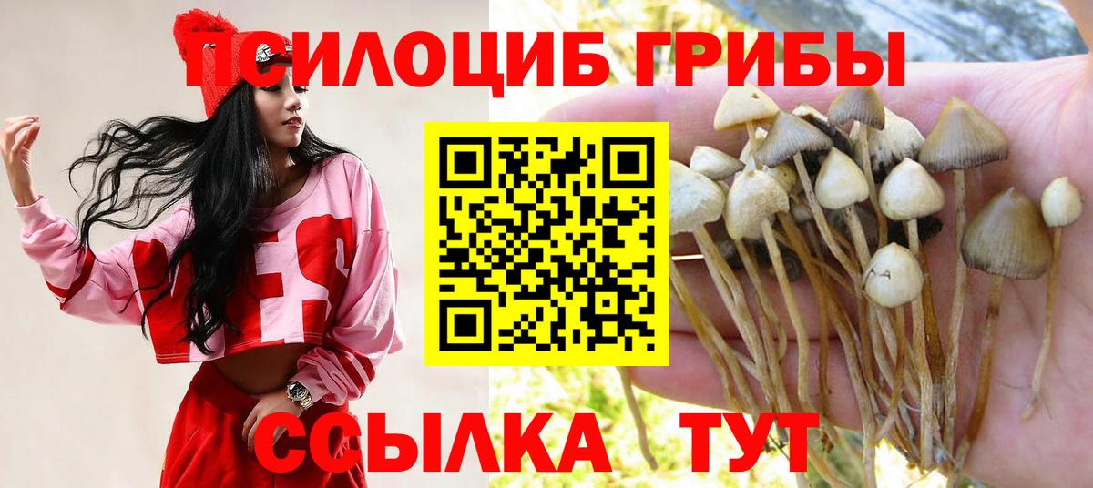 Псилоцибиновые грибы мухоморы Заволжье